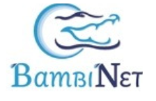 Bambinet