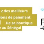Top 2 des meilleures solutions de paiement en ligne pour sa boutique e-commerce au Sénégal