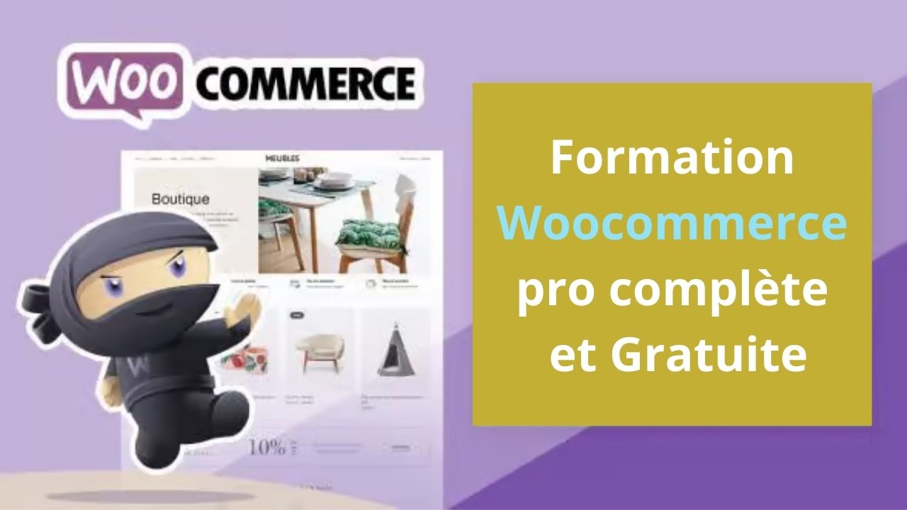 Lire la suite à propos de l’article Formation ecommerce Woocommerce complète pro gratuite