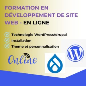 Formation en développement de site web – Offre en ligne